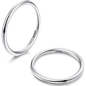 FIOROYAL G23 Titanium Creoolse Oorbellen voor Vrouwen Mannen Meisjes, Hypoallergene Scharnier Hoepel Oorbellen Kraakbeen Helix Kleine Lichtgewicht Creolen, Titanium, Geen edelsteen