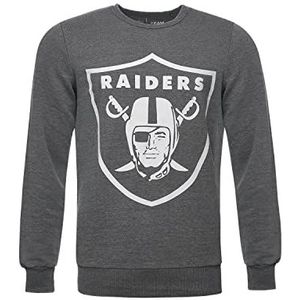 Recovered Raiders heren sweatshirt Classic Vintage grijs S-XXL, grijs.