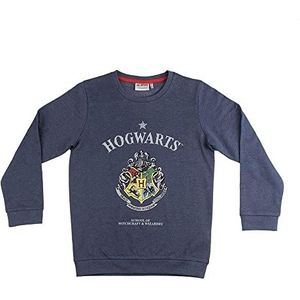 CERDÁ LIFE'S LITTLE MOMENTS - Familie Harry Potter Assorti-sweatshirt - Officieel gelicentieerd product van Warner Bros, Kleur: Cranberry