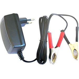 DSK 6879 Acculader voor lood, automatisch, BC-12SL, zwart