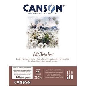 CANSON MI-TEINTES® papier (honingraatpatroon) - blok 20 vellen 32 x 41 160 g/m² wit 335