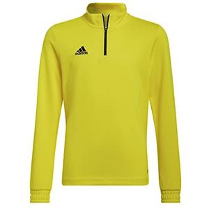 adidas Uniseks sweatshirt voor kinderen, geel/zwart, 11-12 jaar, Geel/Zwart