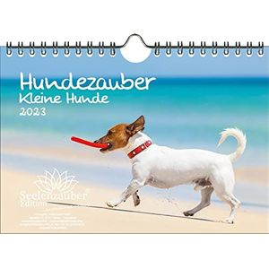 Wandkalender voor honden, DIN A5, voor puppy's en kleine honden, 2023, zielenzuiger