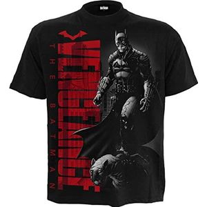 DC Comics M121 T-shirts voor heren, zwart.