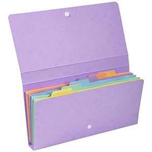 Exacompta - Ref. 58660E - 1 Aquarel sorteermap in pastelkleurige kaart met 6 vakken - sluiting met elastieken - formaat 26x13 cm voor documenten van 24x11 cm - willekeurige kleuren