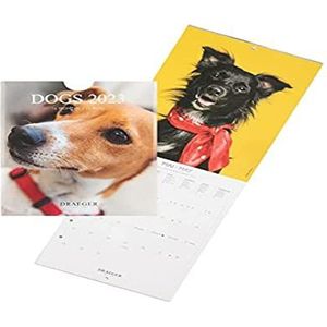 Drager Paris Kleine wandkalender voor honden 2023, om op te hangen, 14 x 18 cm, 16 maanden, september 22 tot december 23, 7 talen, kalender, kantoor, keuken, maandhuis, plantenkleuren, FSC®-gecertificeerd papier