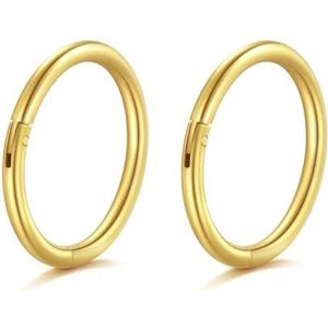 AceFun Zilveren neusring voor dames en heren, roestvrij staal, scharnier, gesegmenteerde neusringen voor helix, kraakbeen, daith, tragus, Roestvrij staal