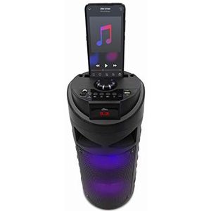 Media-Tech PARTYBOX Boombox draagbare bluetooth luidspreker FM-radio & MP3-speler & KEG karaoke, 30 W