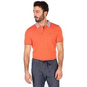 NZA Willowby gebreid heren, Oranje Goud, M