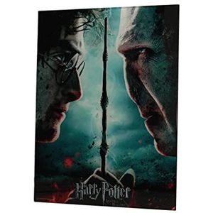 SD toys Harry Potter en Voldemort poster meerkleurig 41 x 31 x 3 cm