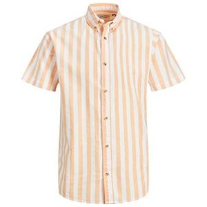 Jack & Jones Jjplain Fred Shirt SS T-shirt voor heren, pompoen, M, Pompoen.