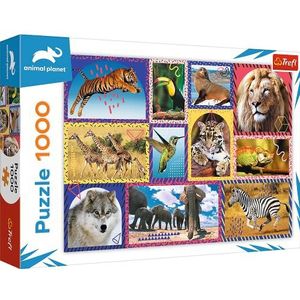 Trefl - Wilde natuur - 1000 stukjes, dierenpuzzels, werelddieren, kleurrijke lijsten, puzzel, creatief entertainment, cadeau, plezier, klassieke puzzels voor volwassenen en kinderen