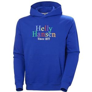 Helly Hansen Core Graphic Sweatshirt met capuchon voor heren