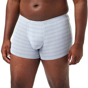 LVB Classy Micromodal boxershorts voor heren, grijs (lichtgrijs 00p), XL, grijs (lichtgrijs 00p)
