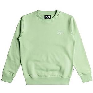 BILLABONG Arch Cr Sweatshirt met capuchon voor jongens (1 stuk)