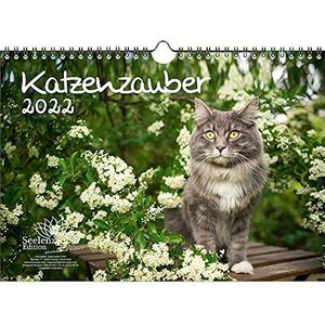 Kalender A4 voor katten en baby's katten 2022