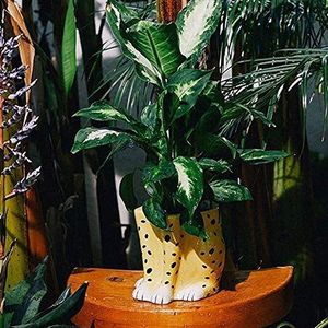 Doiy - Pot moderne en forme de guépard - Fabriqué en céramique - Pot pour plantes - Vase décoratif - Noir et jaune - 13,5 x 15 x 15 cm