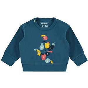 Imps & Elfs B Regular sweatshirt Ls Boksburg baby jongens, blauw (Majolica Blue P163)