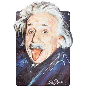 Imagicom Einstein muursticker Maxi stof, kleurrijk, 70 x 100 cm