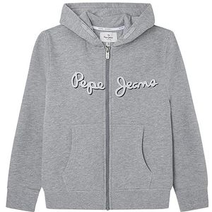 Pepe Jeans Nolan hoodie voor jongens, grijs.