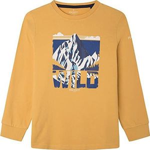 Hackett London Hackett Wild LS T-shirt voor jongens, goudkleurig, 11 jaar, Goud