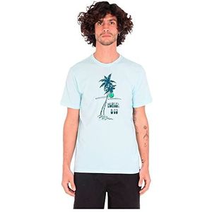Hurley EVD WSH Beachpark T-shirt voor heren, blauwgroen getint