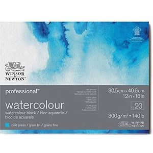 Winsor & Newton 6664004 Professioneel aquarelpapier, 30,5 x 40,6 cm, 300 g/m², fijnkorrelig, natuurlijk wit papier in archiefkwaliteit, bestand tegen vergeling, 20 vellen