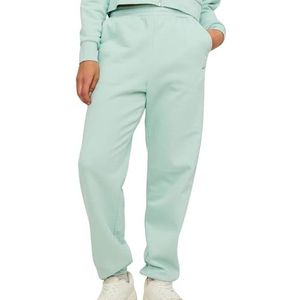 JJXX Jxabbie RLX Hw Every Pants SWT Noos Pantalon de survêtement pour femme, Jade rayé/imprimé : logo formel Garden Jjxx, S