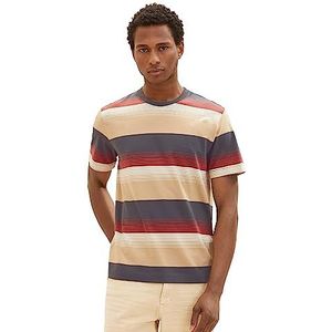 TOM TAILOR T-shirt à rayures pour homme, 32493-blue Multi Gradient Stripe, L