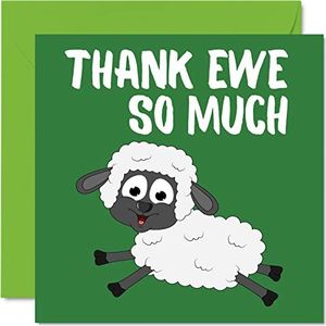 Bedankkaarten: grappige bedankkaarten voor leraren, hem of haar, grappige waarderingskaart voor leraren, 145 mm x 145 mm