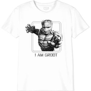 Marvel Bogugamts152 T-shirt voor jongens (1 stuk), Wit.
