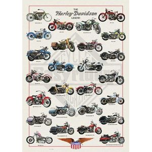 Empire 536655 Harley-Davidson-poster (Engelstalig), 68 x 98 cm