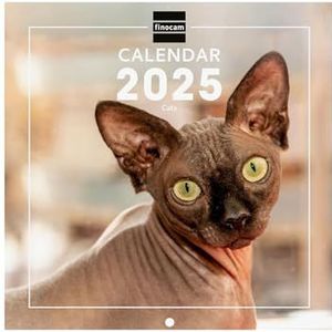 Finocam – Internationale wandfotokalender 2025, 1 maand per pagina, januari 2025 – december 2025 (12 maanden) internationale katten