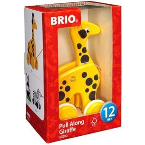 Along Giraffe trui: Brio