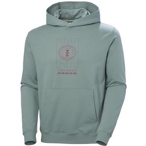 Helly Hansen Core Graphic Sweatshirt met capuchon voor heren