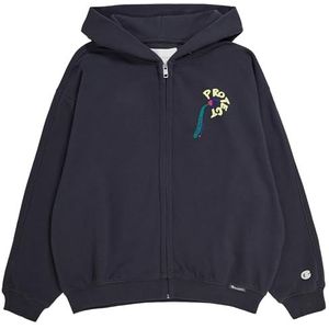 Champion Rochester 1919 Eco Future W Circular Recycled Heavy Spring Terry Sweatshirt met capuchon voor dames, Pastel Zwart