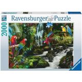 Bonte Papegaaien in de Jungle Puzzel (2000 stukjes)