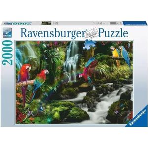 Bonte Papegaaien in de Jungle Puzzel (2000 stukjes)