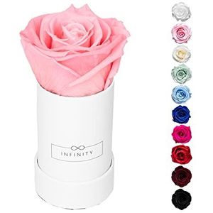 Infinity Flowerbox Extra Small - 1 echte Premium Rose Rose Rose - Lange levensduur 3 jaar zonder gieten, 9-BW-BP