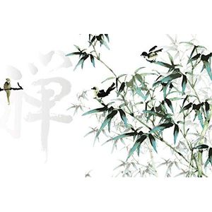 Scenolia Wandbehang, canvas, Chinees schilderij, takken en vogels, 3 x 2,70 m, wanddecoratie, trompe-effect, panorama-coating, XXL-posters, eenvoudig aan te brengen en HD-kwaliteit