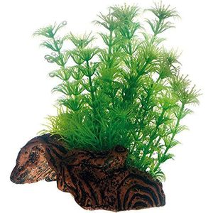 Hobby Flora Root 3S plant voor aquaria, 17 cm