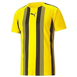 PUMA Teamliga gestreept shirt voor heren