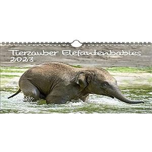 A4 olifant baby kalender 2023 olifant