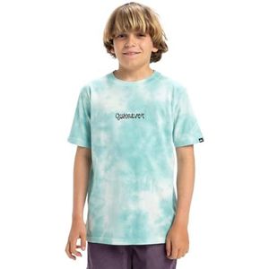 Quiksilver T-shirt pour garçon Frog Ritual Ss Tee (1 pièce)