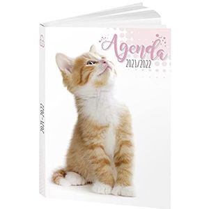 AGENDA Kitten 12 x 17 cm BOUCHUT