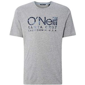 O'NEILL LM T-shirt voor heren, logo, korte mouw, zilvergrijs (zilvermele)
