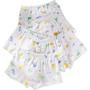 Little Hand Boxershorts voor baby's, jongens, ondergoed, kinderen, 5-delig, boxershorts, jongens, Dinosaurier #2