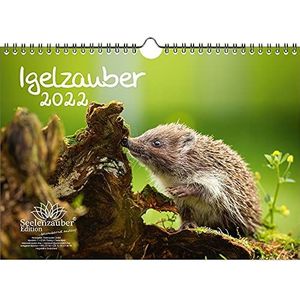 Egelkalender in A4-formaat voor egels 2022 - Seelenzauber