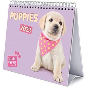Grupo Erik - Kantoorkalender 2023 honden - 12 maanden | 20 x 18 cm, maandkalender in het Frans, januari 2023 tot december 2023 | FSC-gecertificeerd, met harde standaard, CS23013