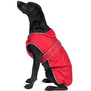 Ancol Stormguard hondenjas, voor alle seizoenen, maat S, lengte 25 cm, voor tailleomvang 48-54 cm, rood